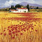 Poppies field by Steve Thoms